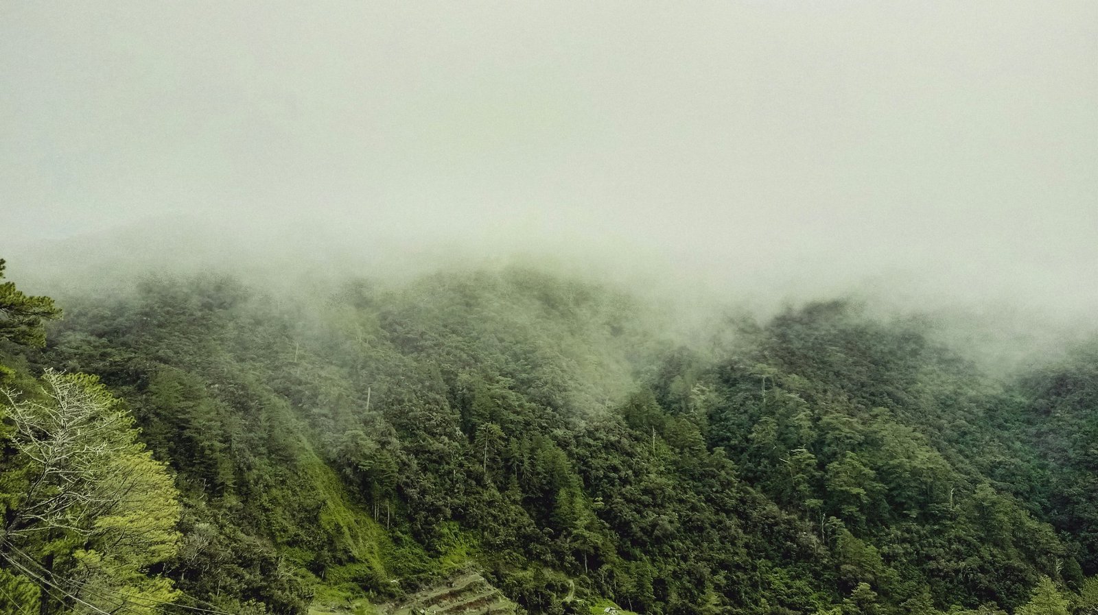 A mountain covered in fog