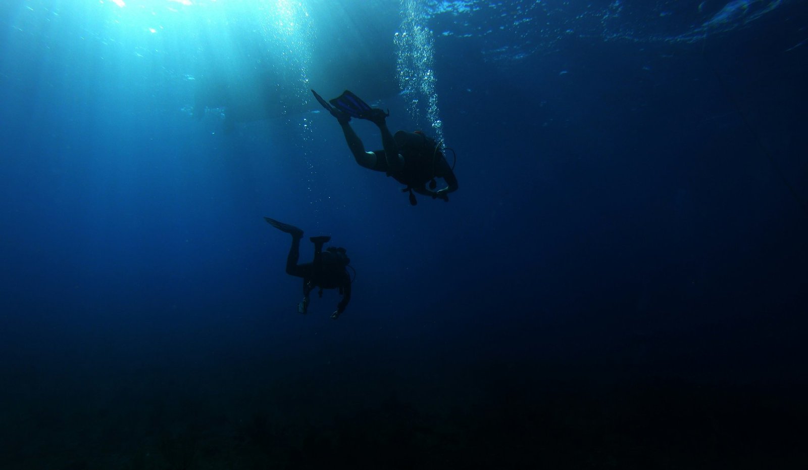 Two person scuba diving