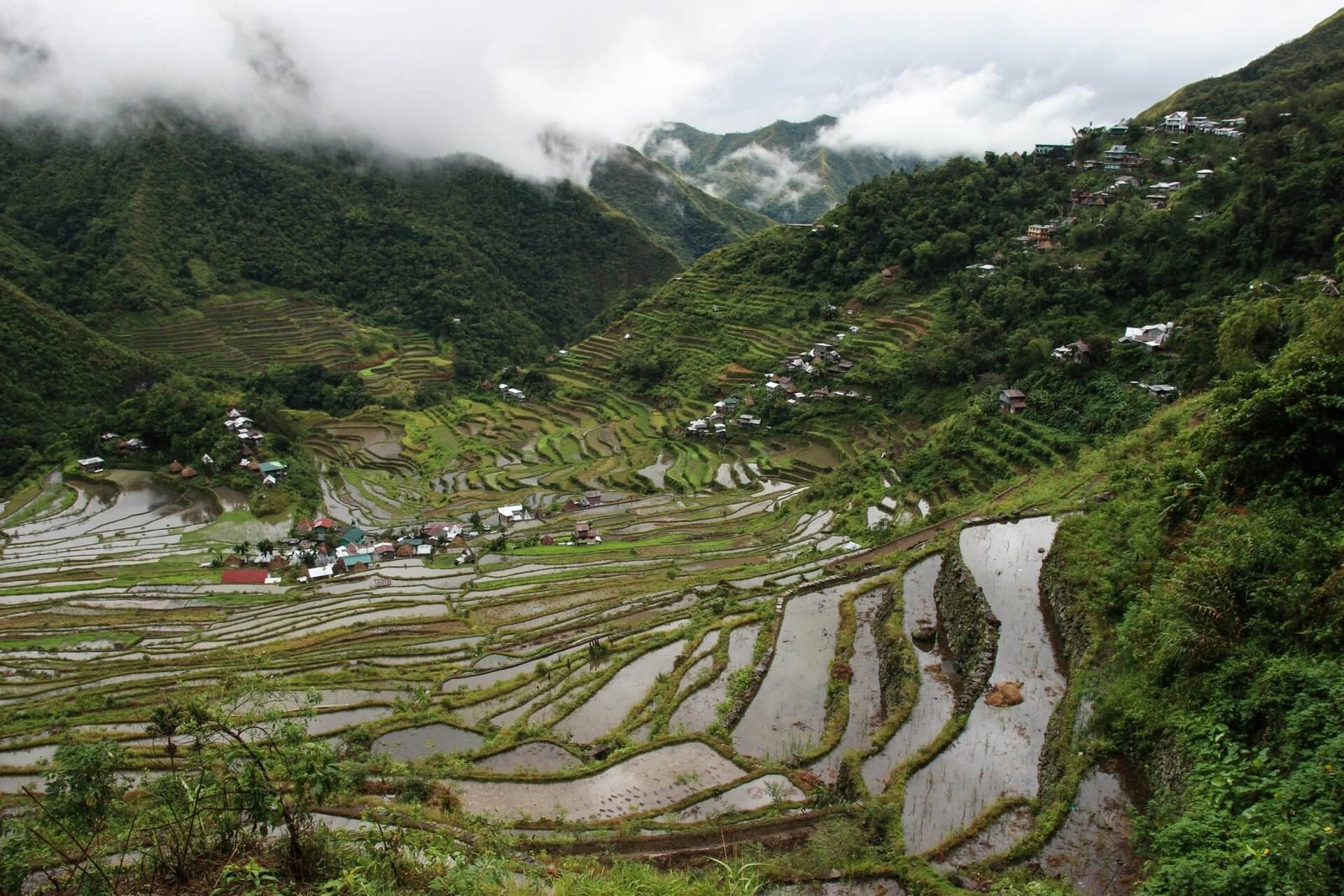 Rice terraces view during day