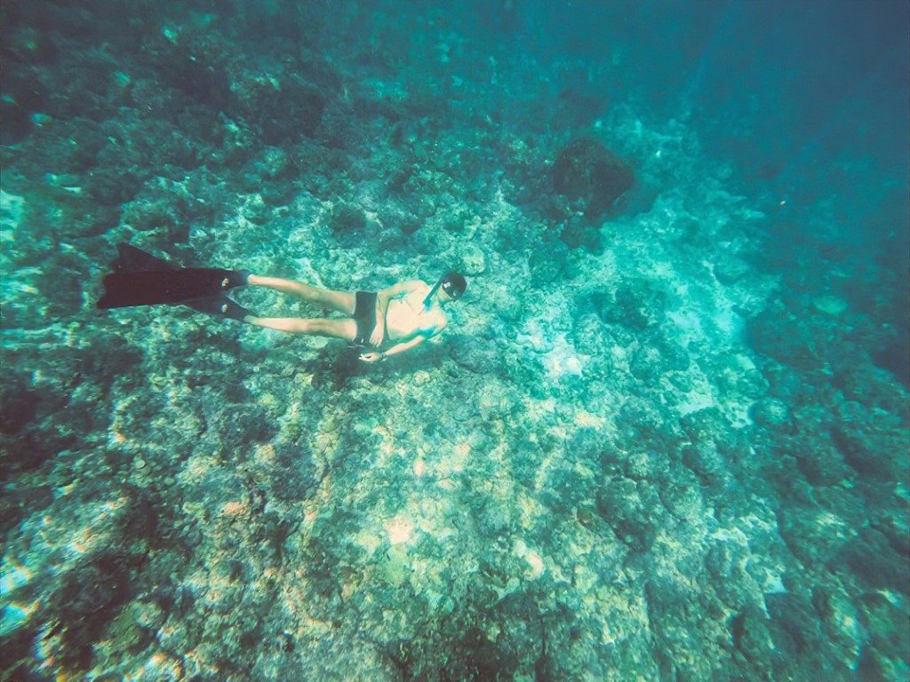 person snurkling underwater while taking picture