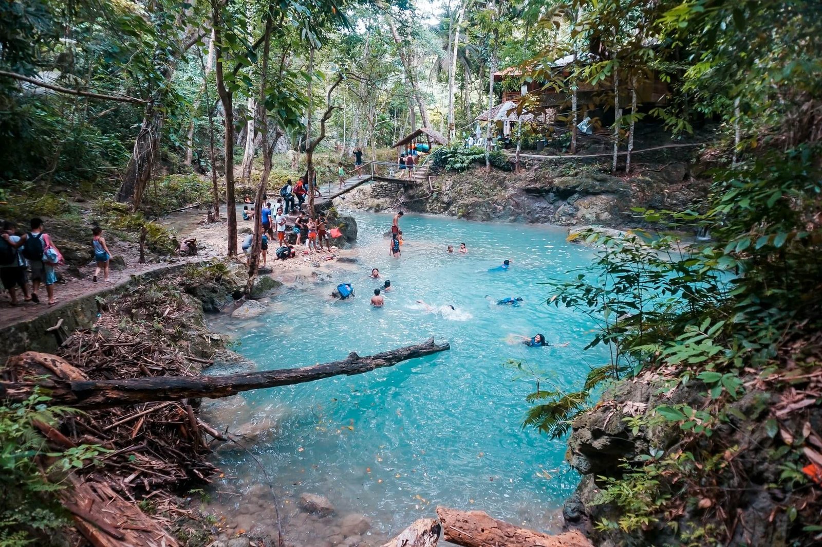 Group wading in a turquoise jungle pool on a canyoneering trip in Badian, Cebu