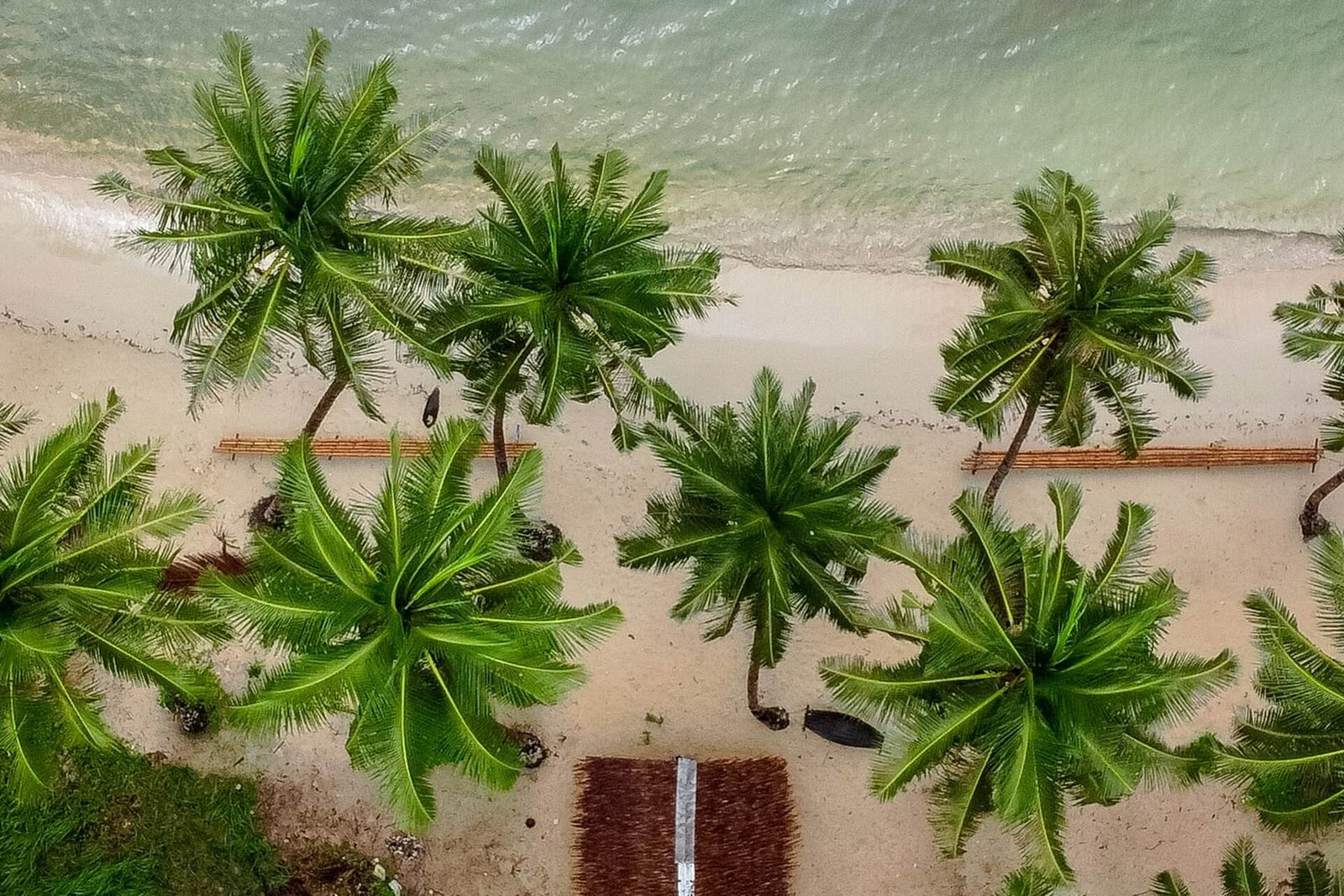 Aerial view of palm trees and white sand at Coconut Beach in Port Barton, Palawan