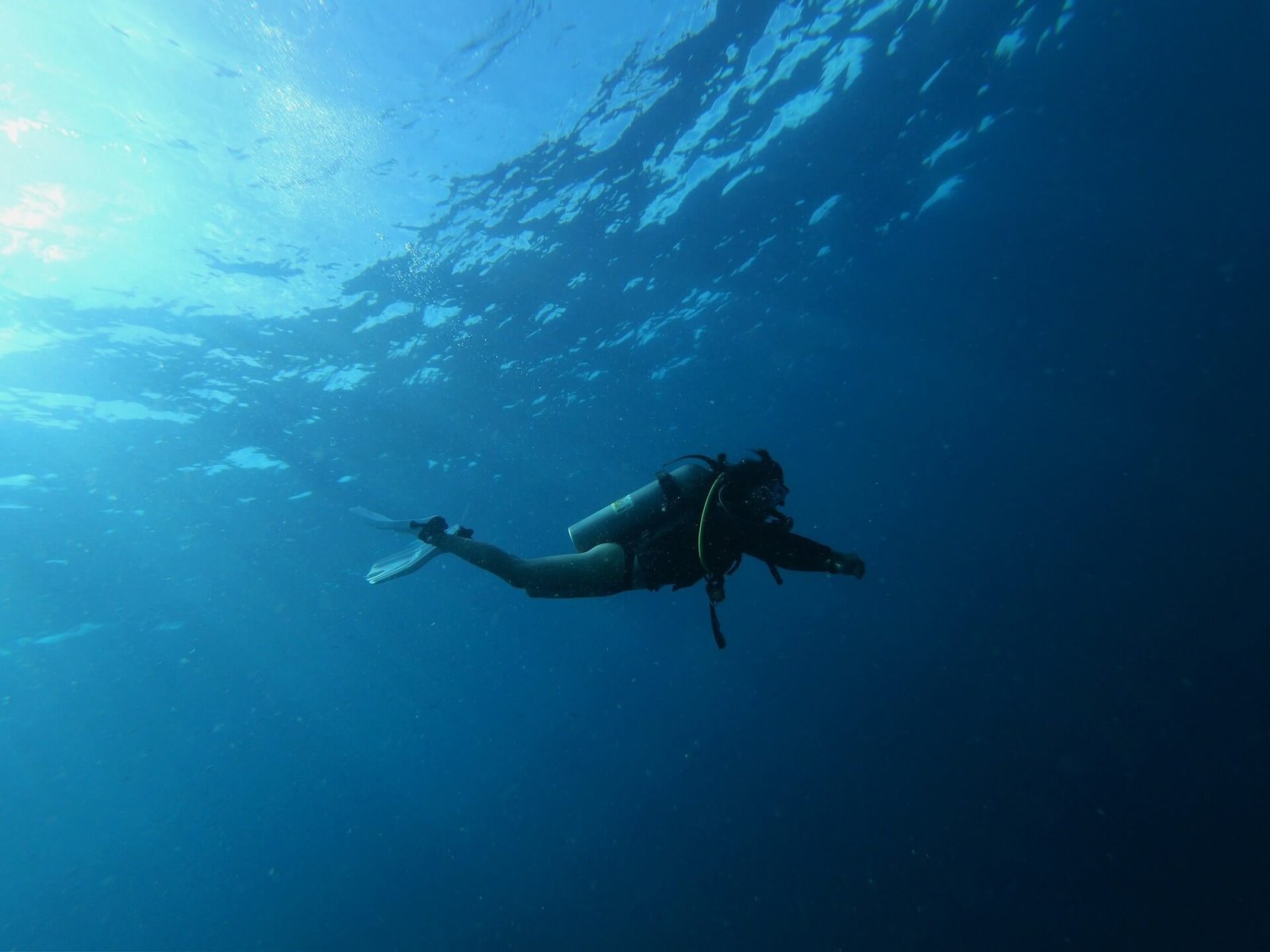 Diver swimming in clear blue water off Balicasag Island, Bohol