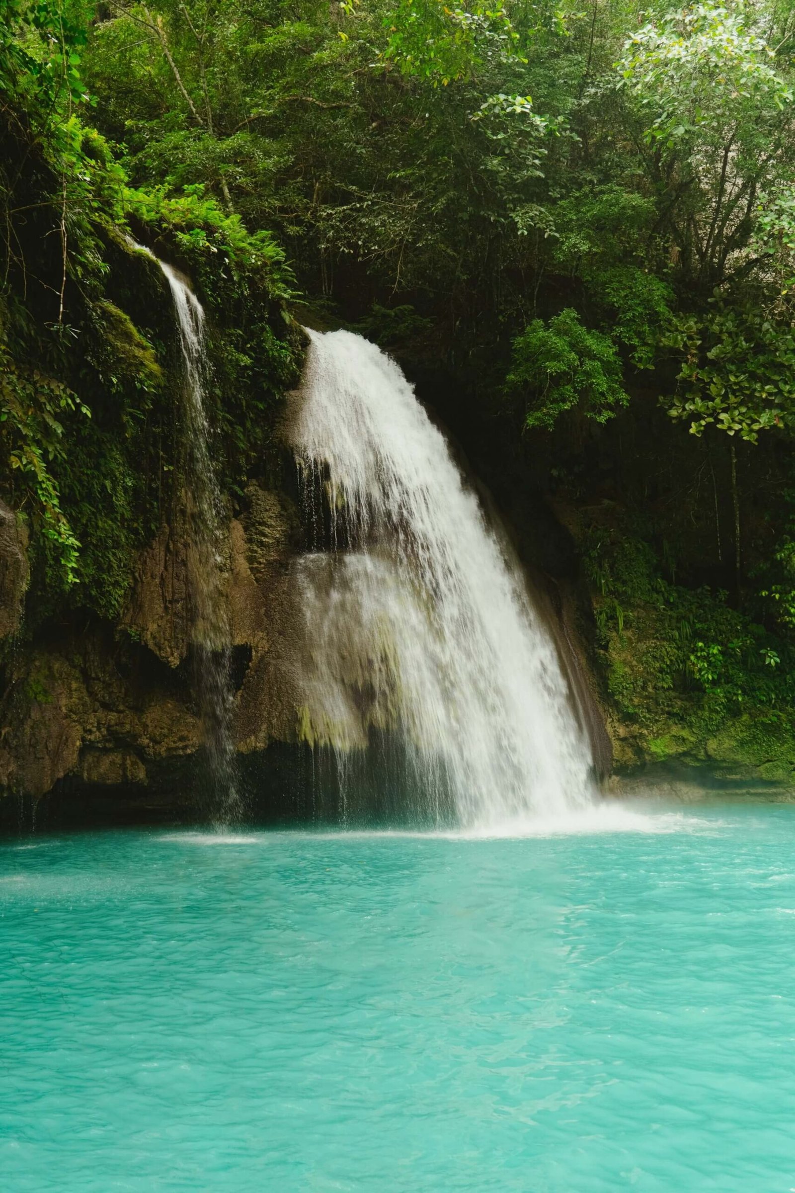 Kawasan Falls cascading into a turquoise pool in the jungle of Badian, Cebu
