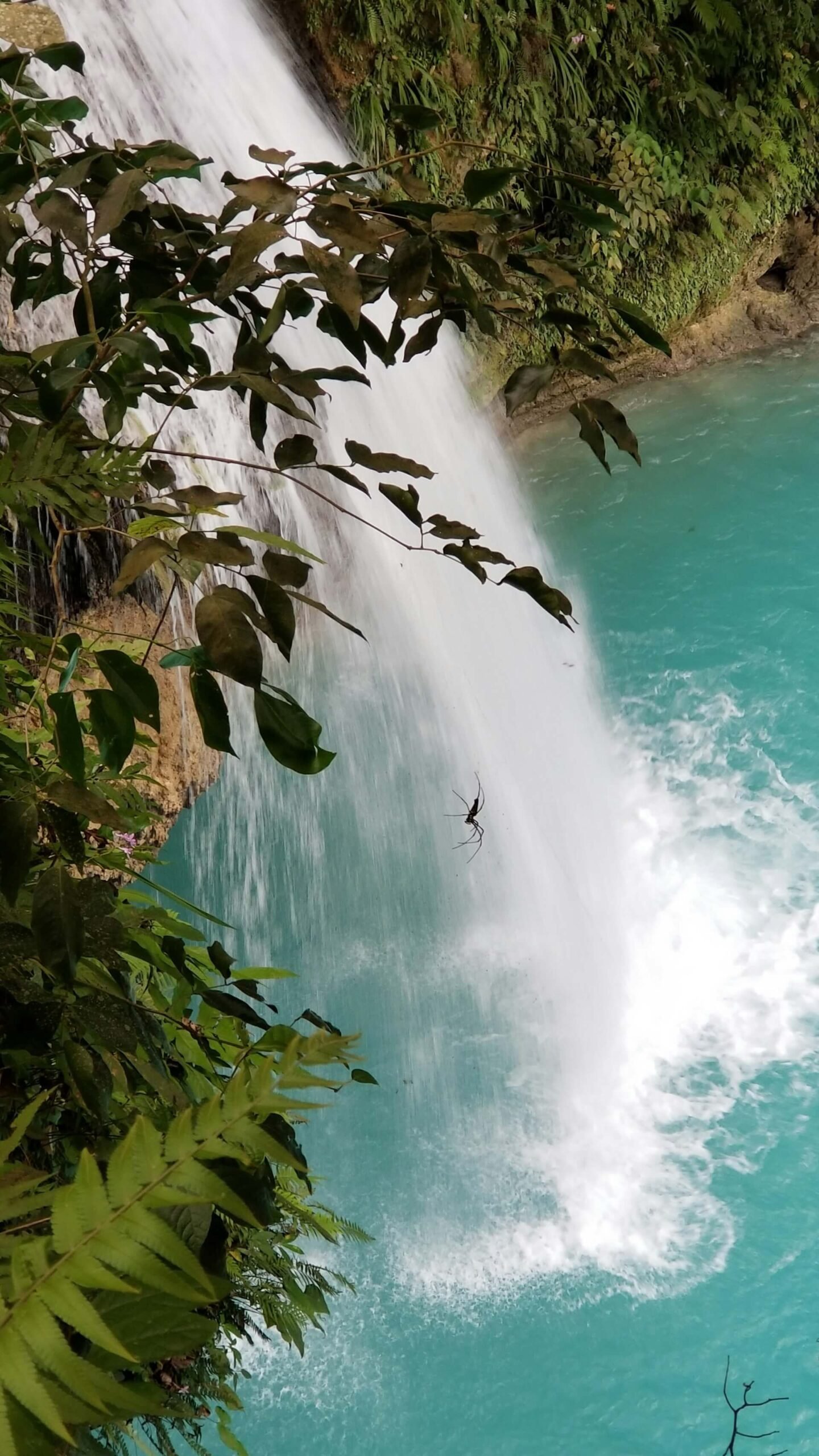 Kawasan waterfalls tumbling over rocky cliffs in Badian, Cebu