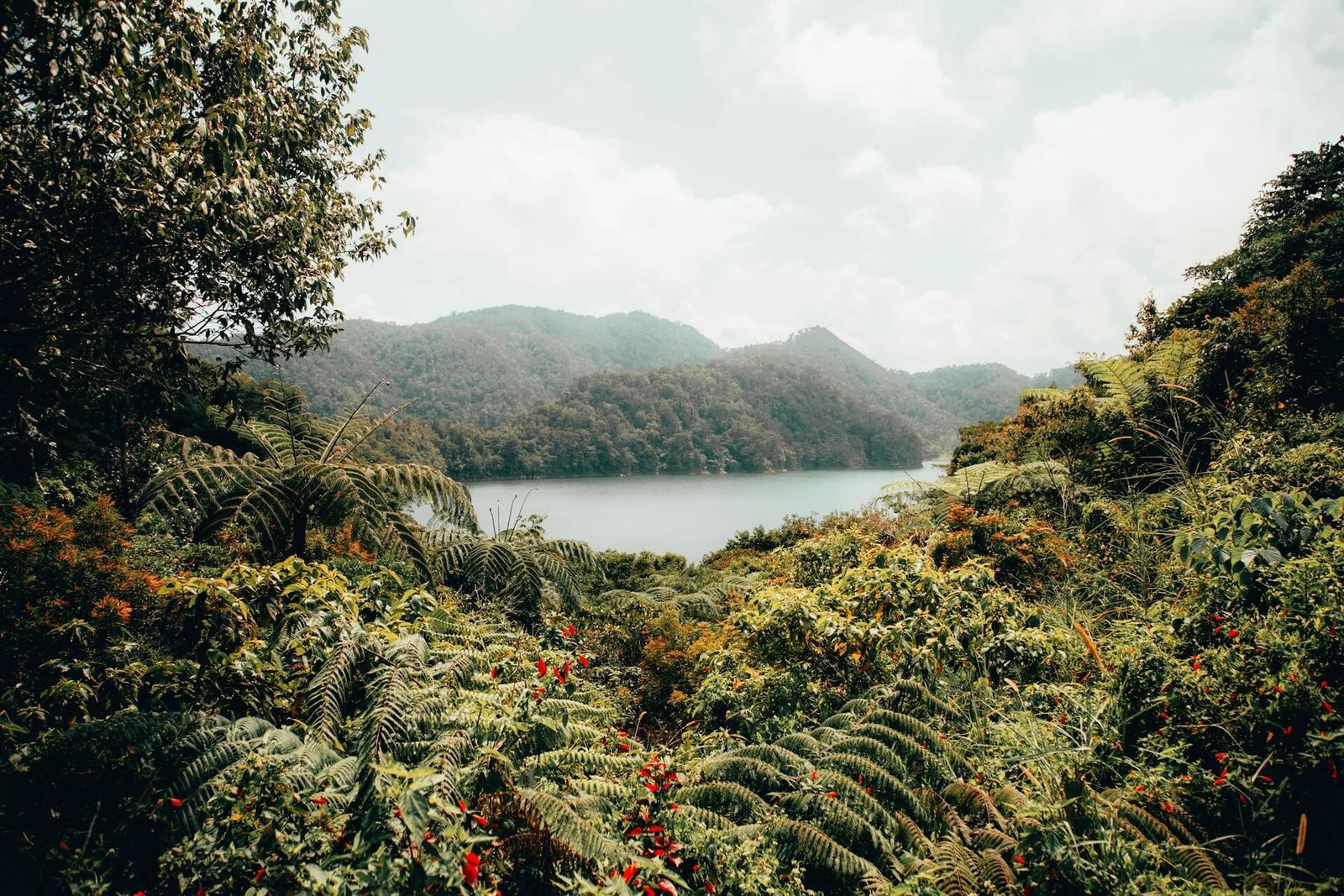 View over Lake Balinsasayao from the Twin Lakes viewing deck in Negros Oriental