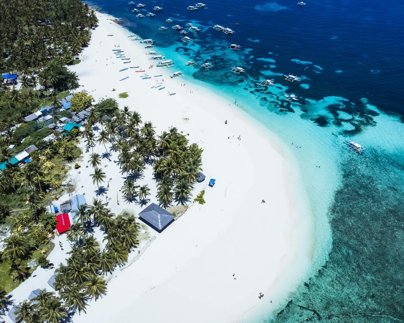 Aerial view of island-hopping bangka boats anchored off a white-sand beach lined with coconut palms on Siargao Island