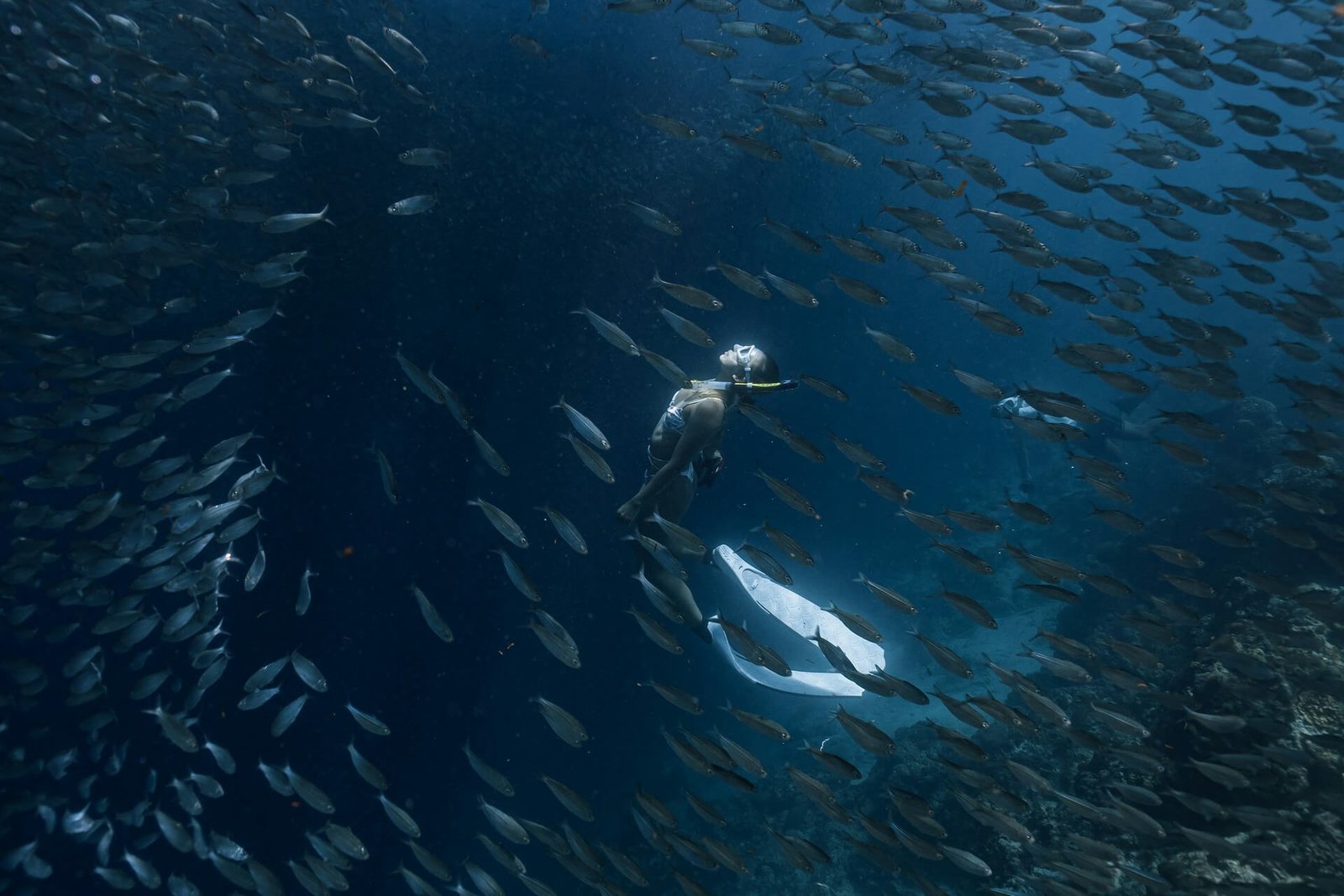 Swimmer surrounded by the sardine run school in Moalboal, Cebu